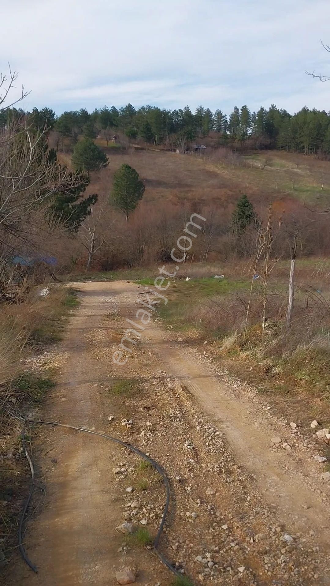 Kestel Orhaniye'de Müstakil Tapulu Satılık Tarla... - Görsel 4