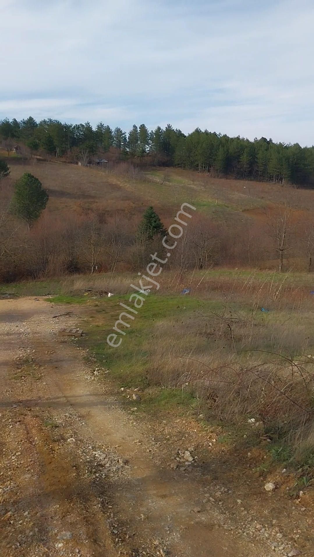 Kestel Orhaniye'de Müstakil Tapulu Satılık Tarla... - Görsel 2