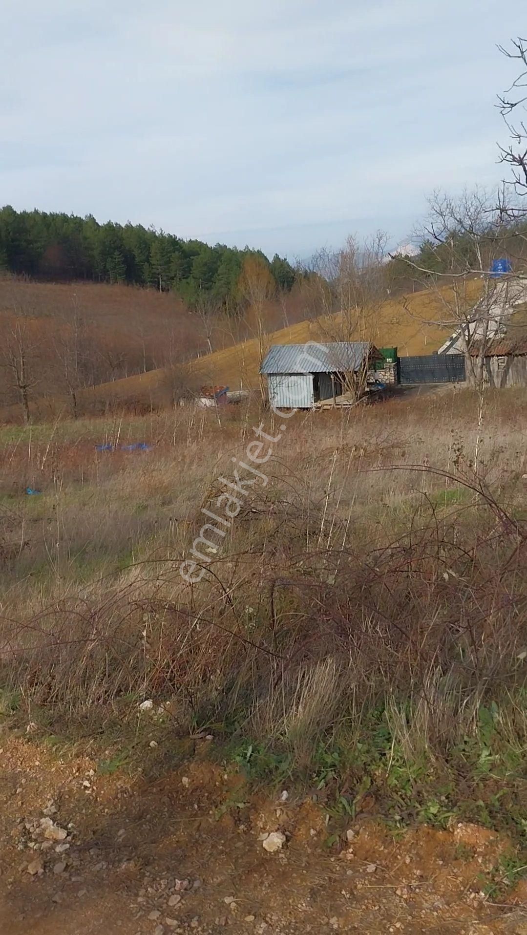 Kestel Orhaniye'de Müstakil Tapulu Satılık Tarla...