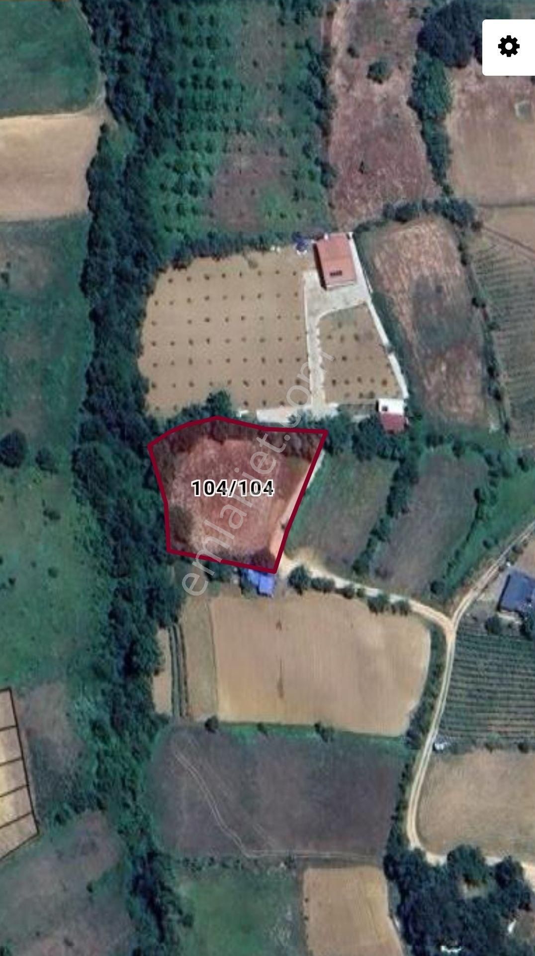 Kestel Orhaniye'de Müstakil Tapulu Satılık Tarla... - Görsel 5