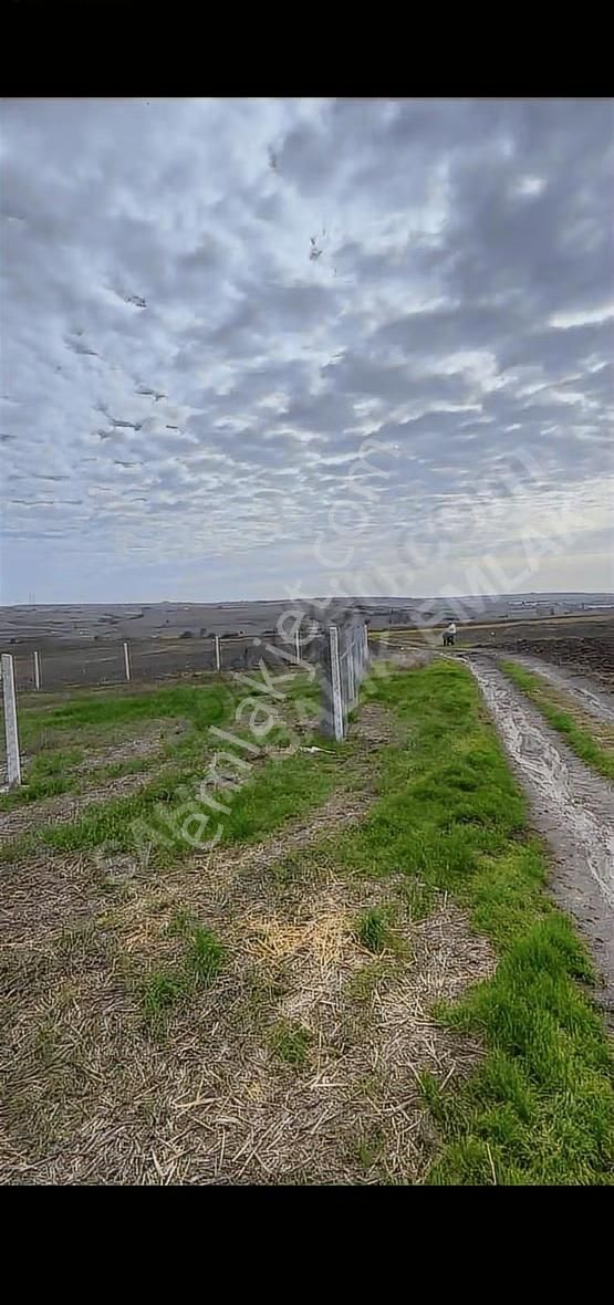 Silivri Değirmenköy Mah 443 Metre² Kelepir Fiyattan