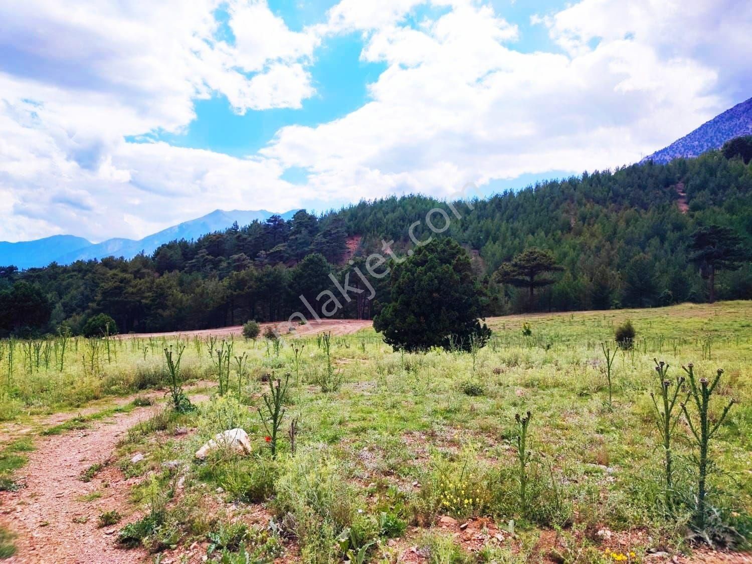 Kar Emlaktan Alpu Yaylasında Yüksek Konumlu 500m2 Satılık Arsa - Görsel 26
