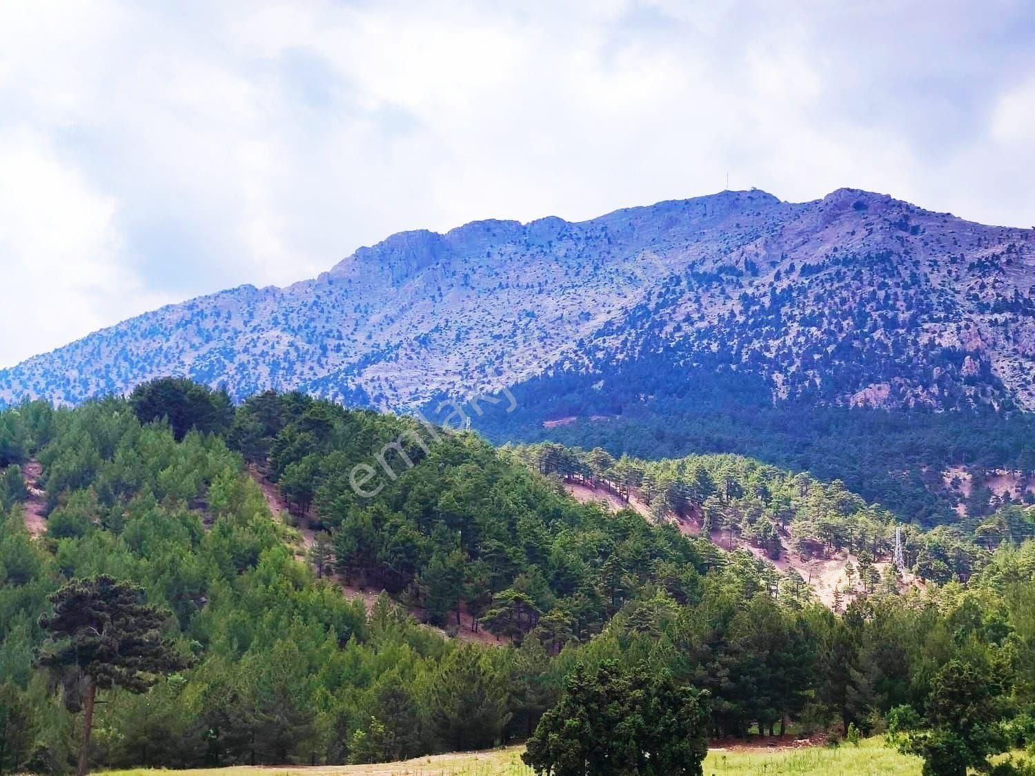 Kar Emlaktan Alpu Yaylasında Yüksek Konumlu 500m2 Satılık Arsa - Görsel 5