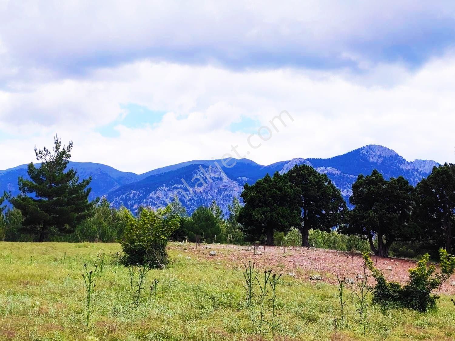 Kar Emlaktan Alpu Yaylasında Yüksek Konumlu 500m2 Satılık Arsa - Görsel 15