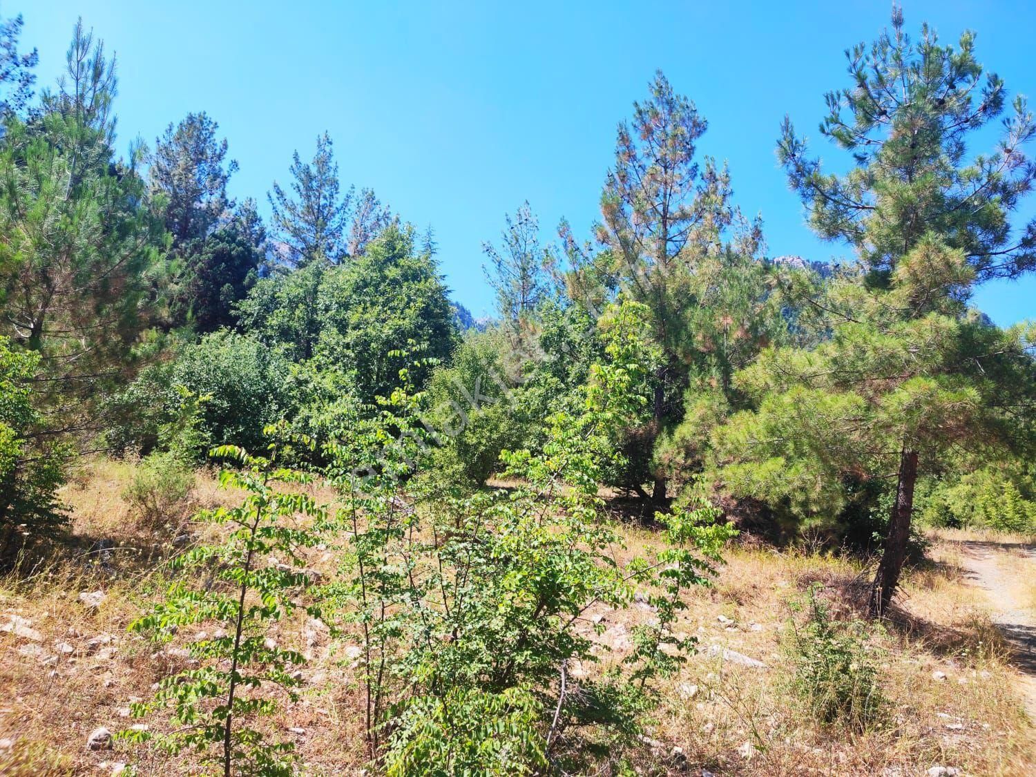 Kar Emlaktan Eskikonacıkta 240m2 Satılık Arsa - Görsel 28