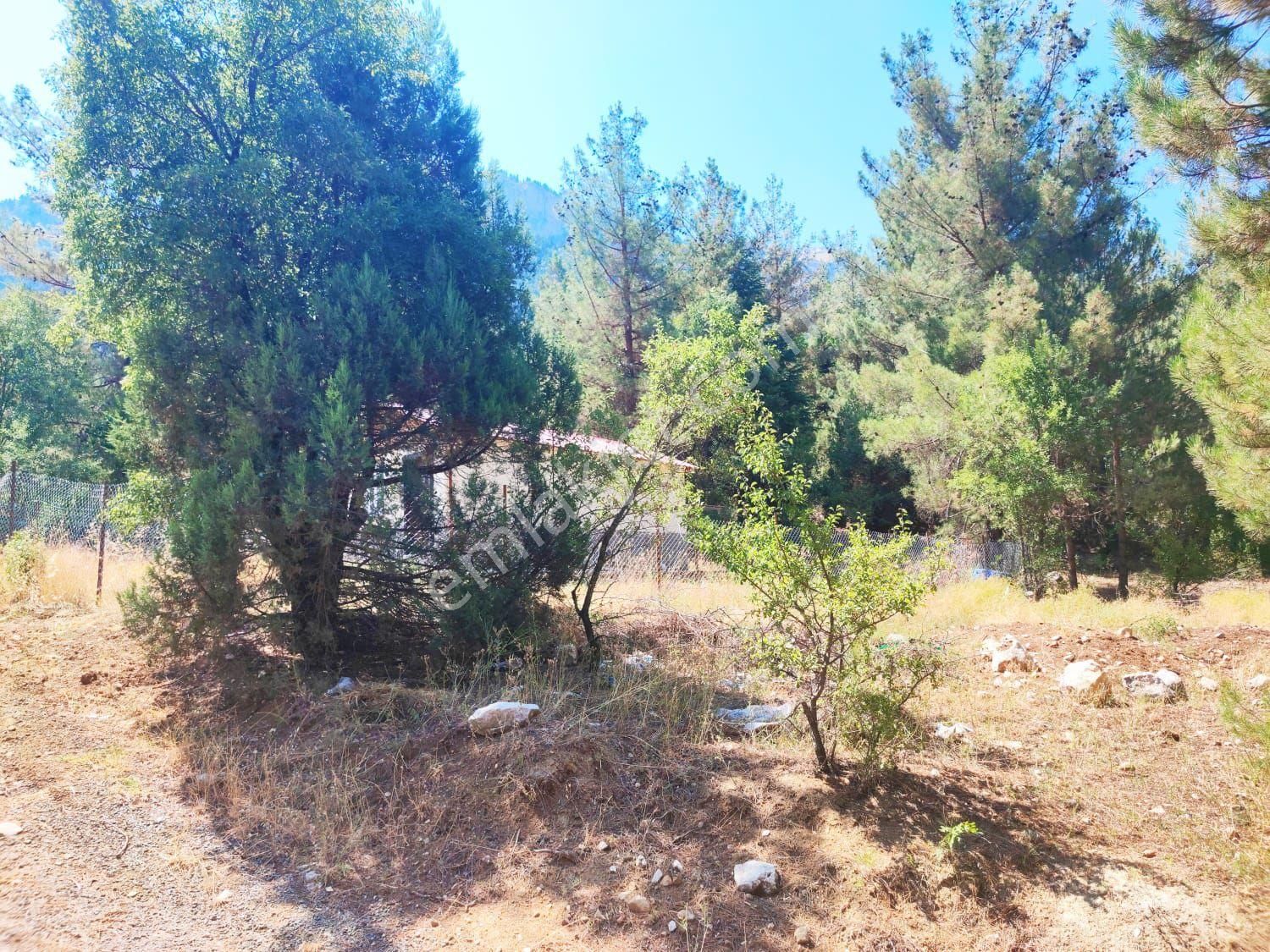 Kar Emlaktan Eskikonacıkta 240m2 Satılık Arsa - Görsel 33