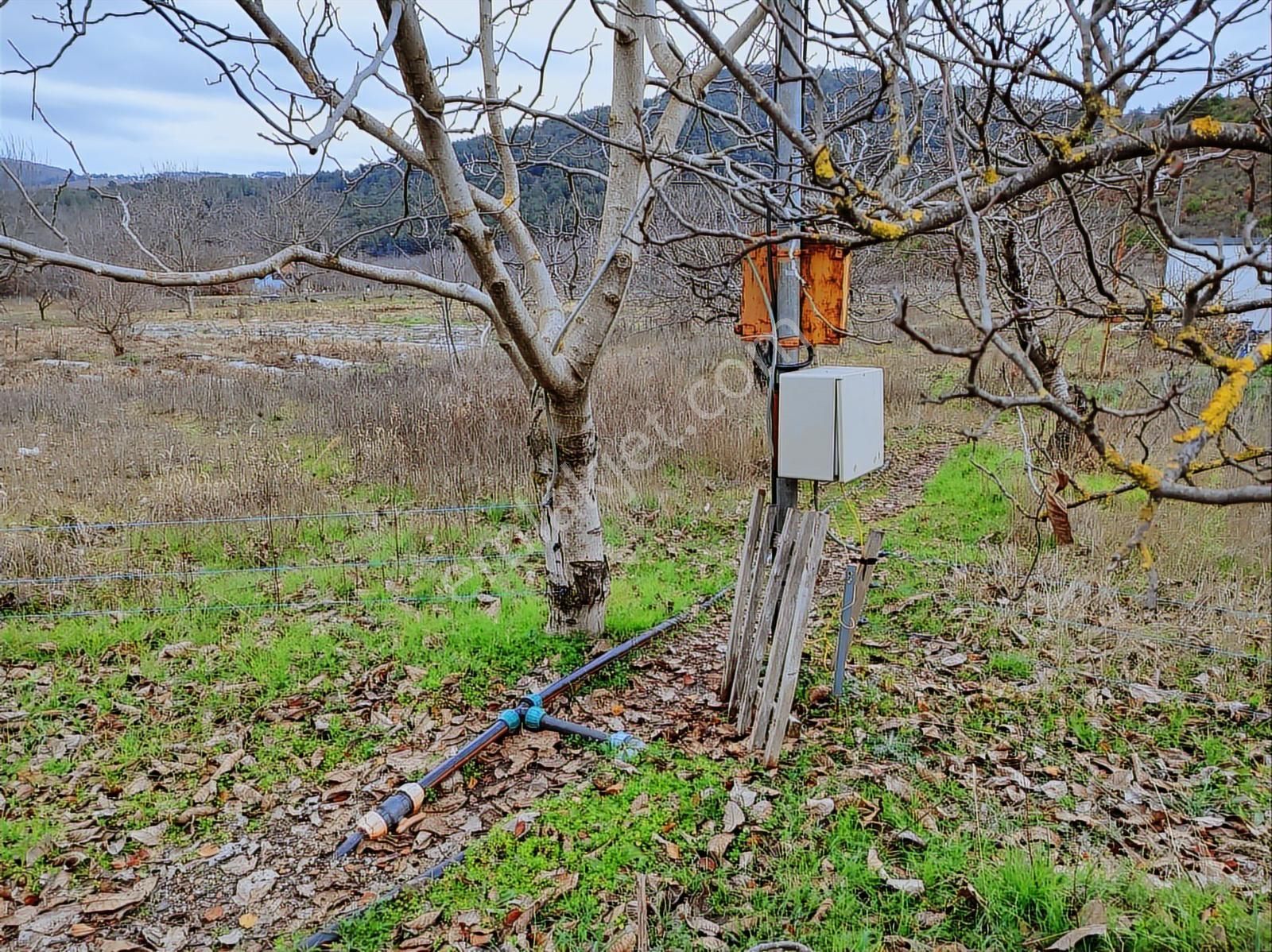 Bayındır Alankıyı'da 1757 M2 Yol Kenarı Bahçe