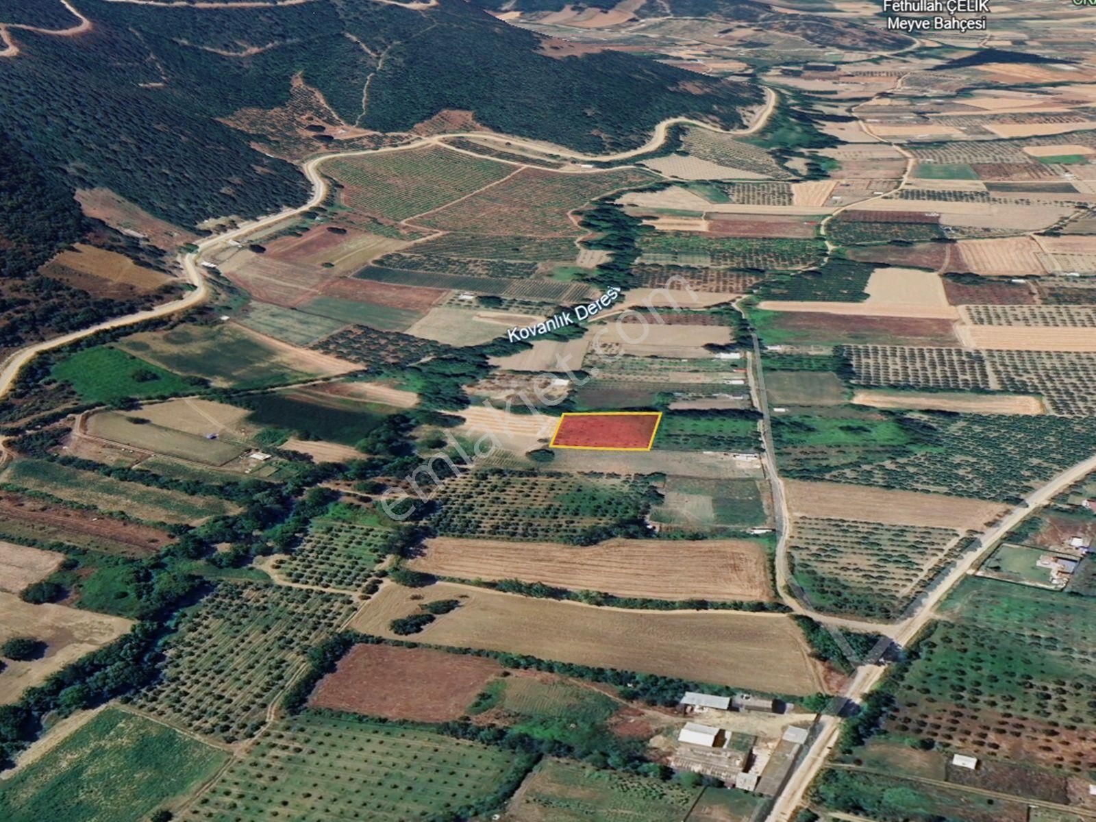 Bursa Kestel Gölcükte 2.283 M2 Satılık Meyve Bahçesi - Görsel 8