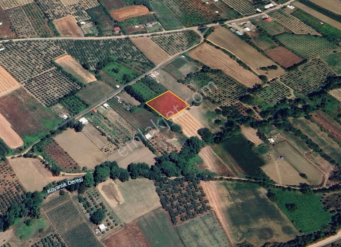 Bursa Kestel Gölcükte 2.283 M2 Satılık Meyve Bahçesi - Görsel 6