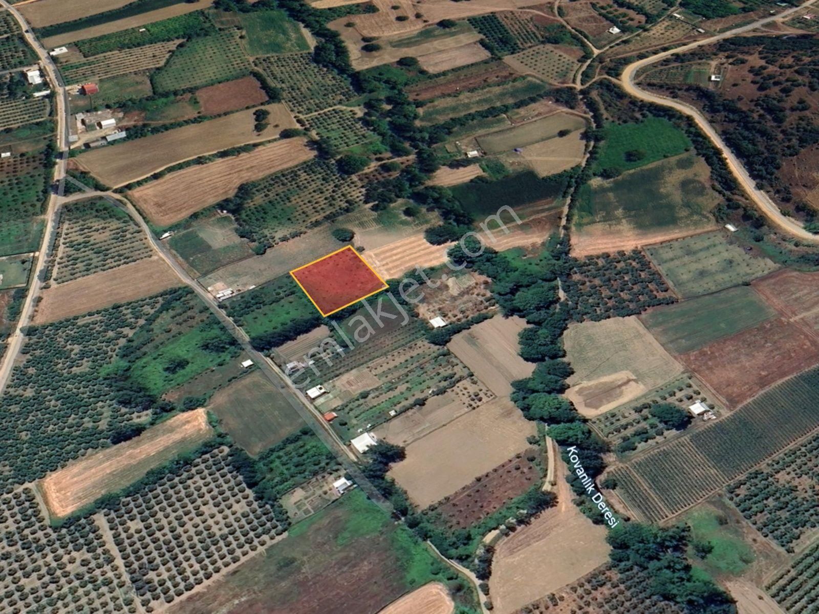 Bursa Kestel Gölcükte 2.283 M2 Satılık Meyve Bahçesi - Görsel 9