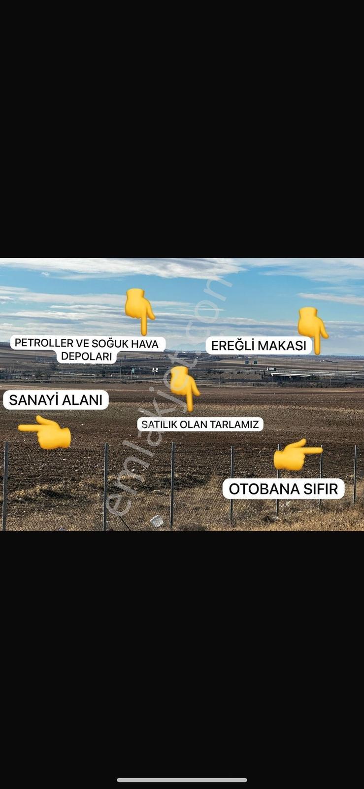 Toros Emlak'tan Ulukışla Alpagut Satılık 11 Dönüm Tarla - Görsel 4