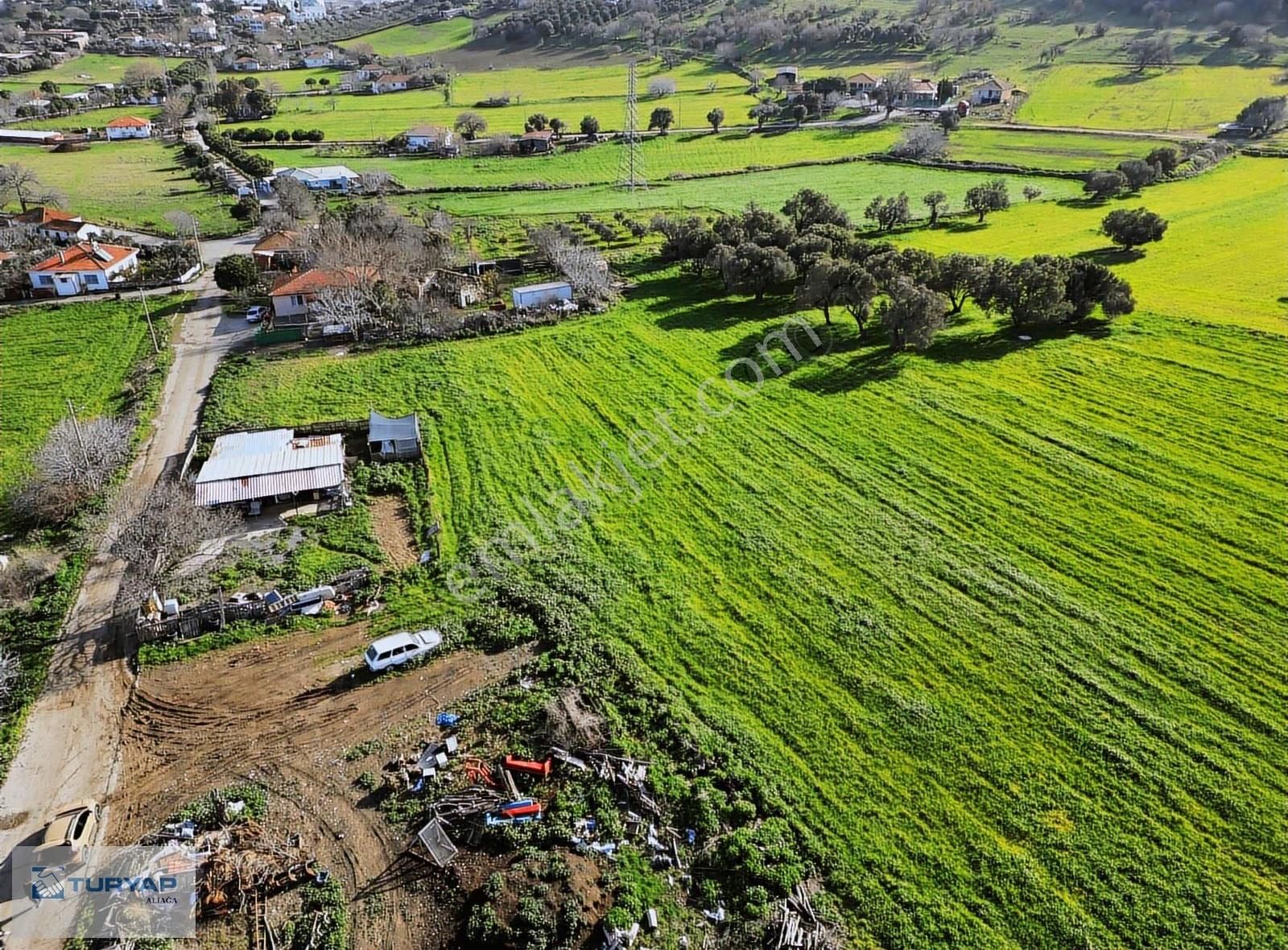 Aliağa Horozgediği Yatırımlık 770m² Hisseli Arazi