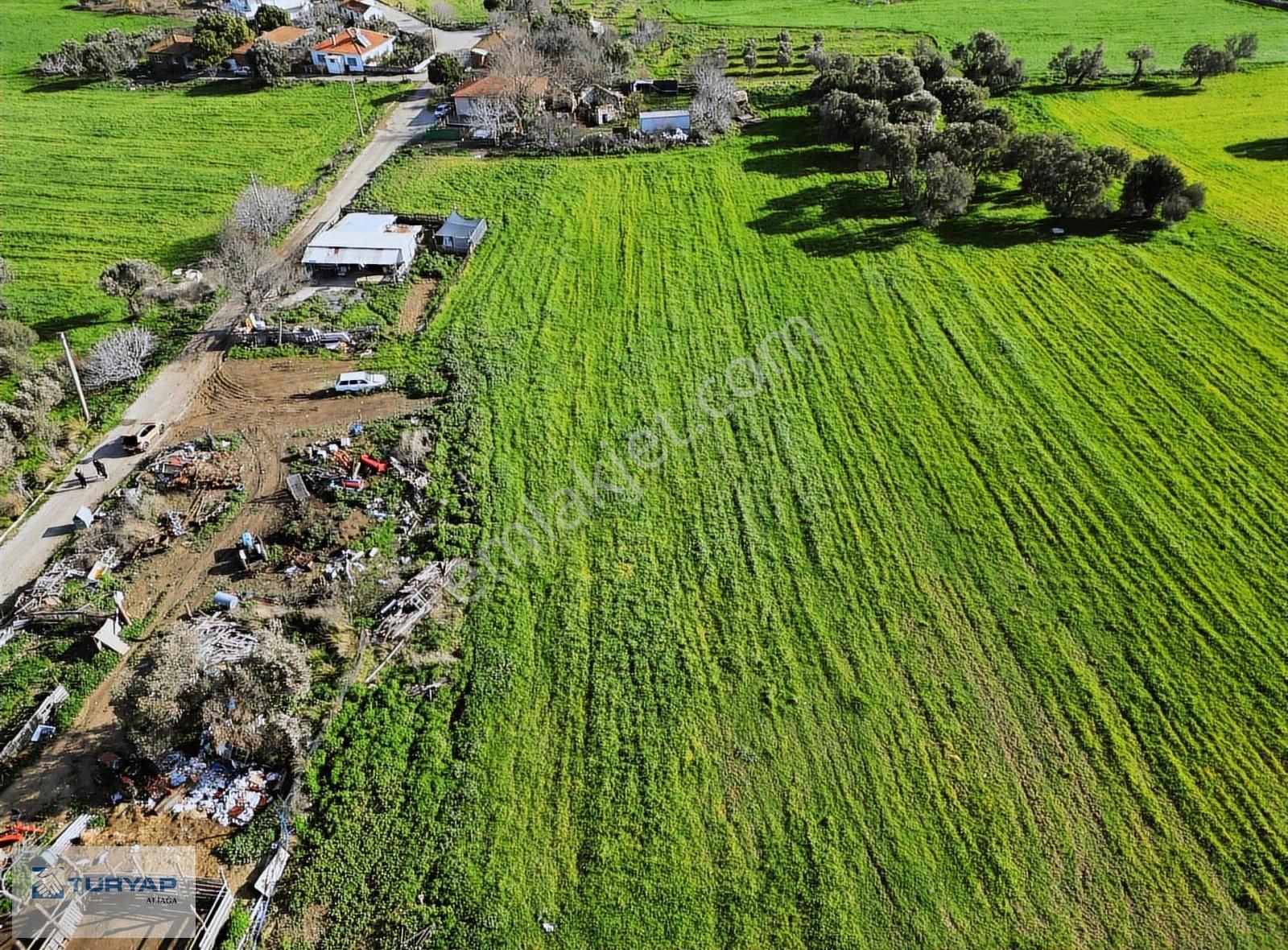 Aliağa Horozgediği Yatırımlık 770m² Hisseli Arazi - Görsel 4