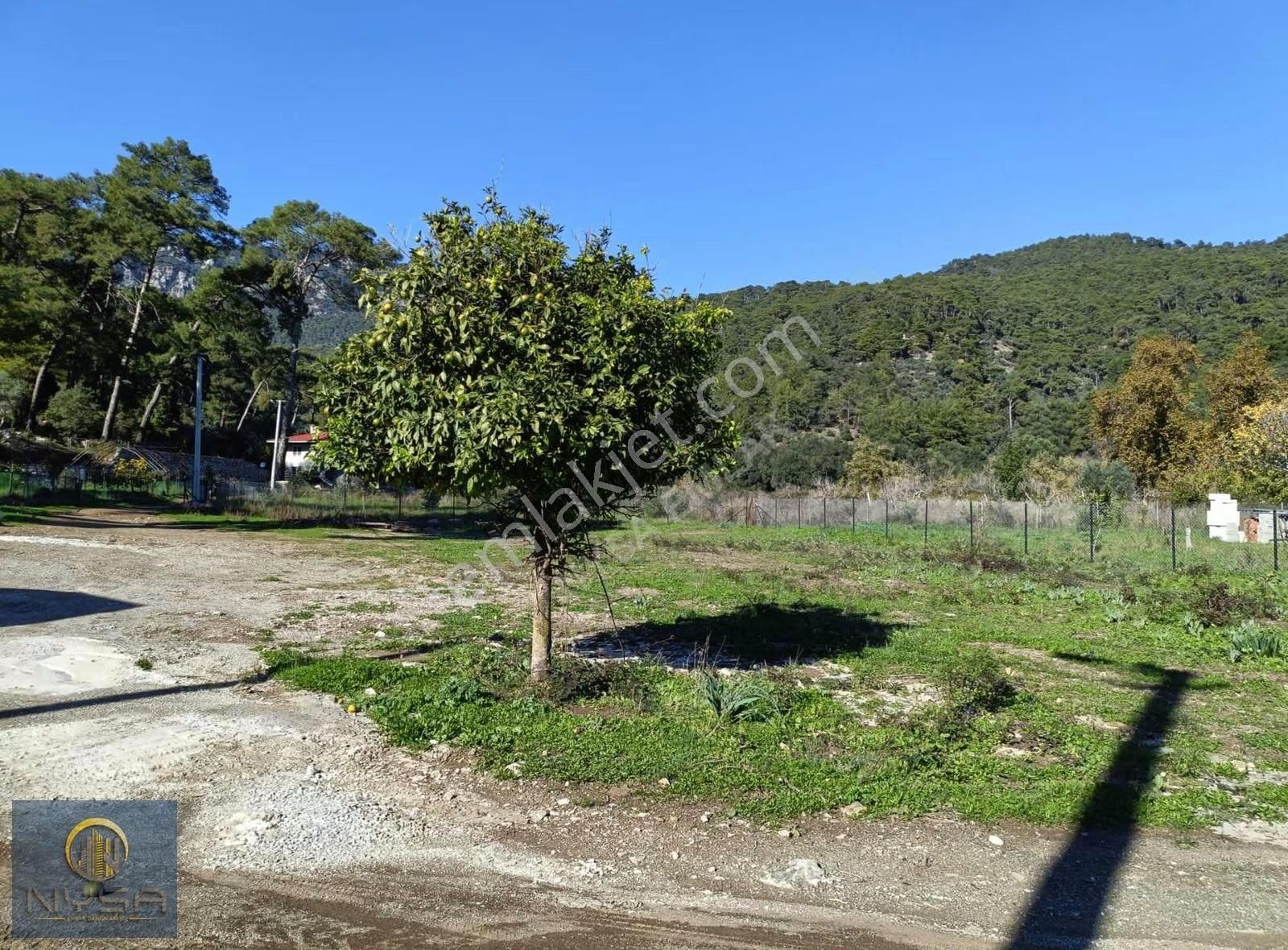 Nysa Emlak'tan Çandır Mh 1000 M² Satılık Rızai Taksimli Tarla - Görsel 4