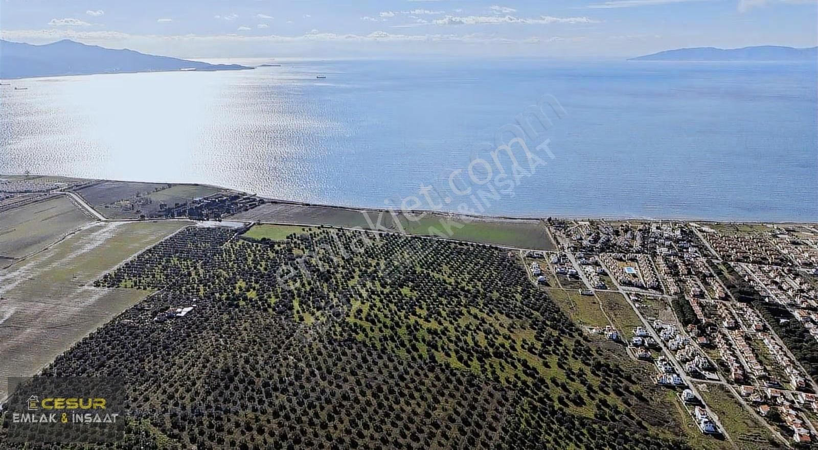 İzmir Dikili Salihler Altına Denize Sıfır 303 Dönüm Dev Tarla - Görsel 2
