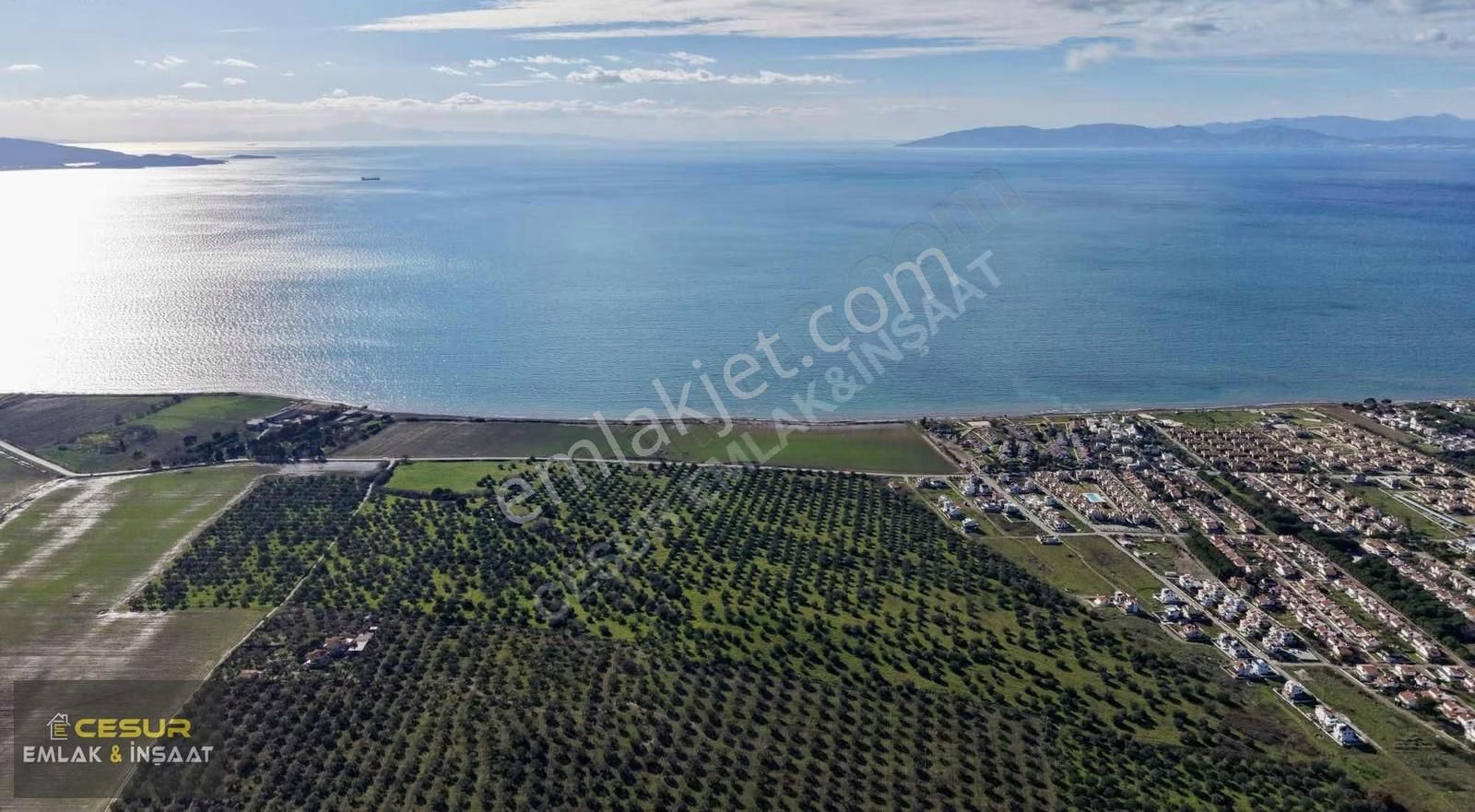 İzmir Dikili Salihler Altına Denize Sıfır 303 Dönüm Dev Tarla - Görsel 4