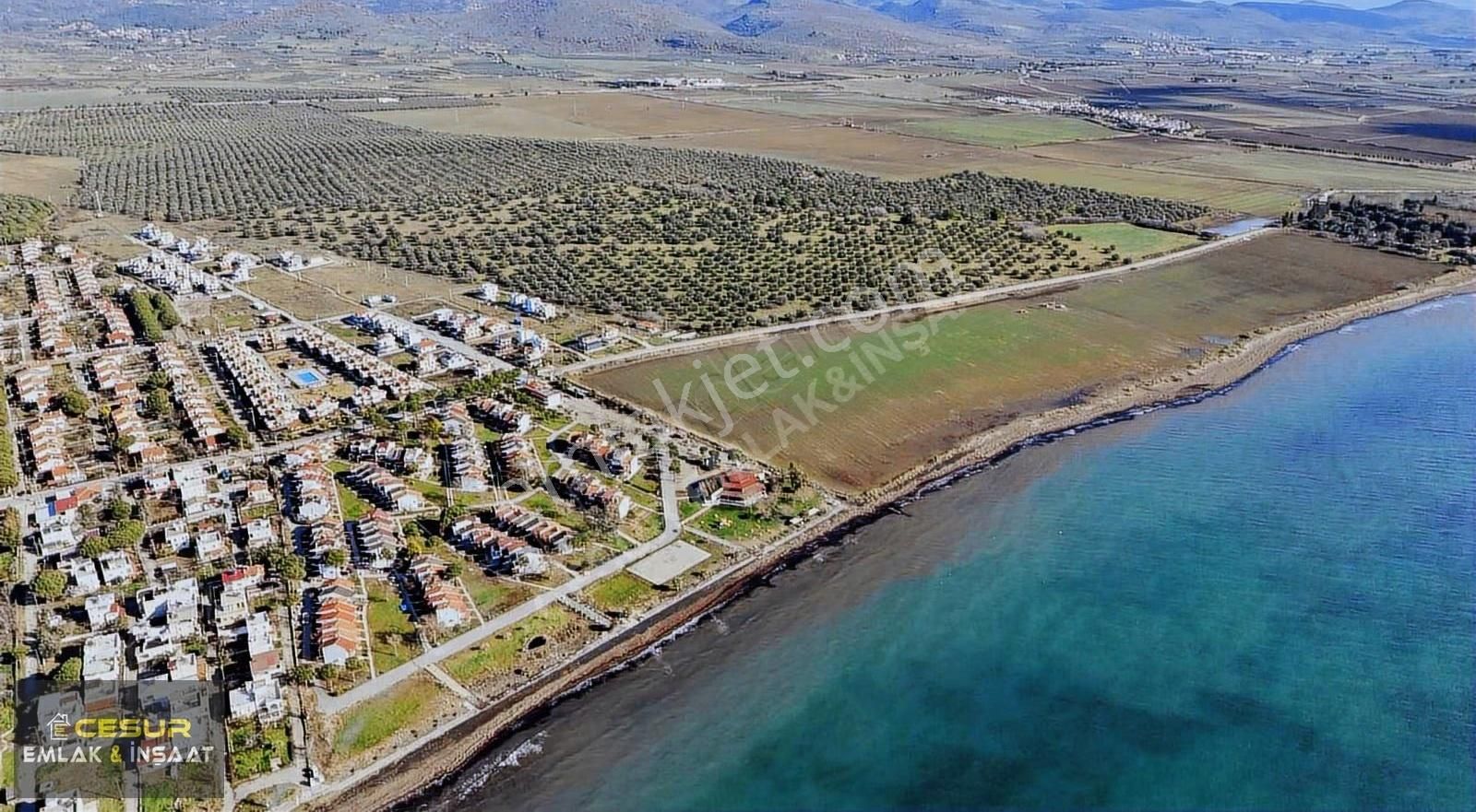 İzmir Dikili Salihler Altına Denize Sıfır 303 Dönüm Dev Tarla