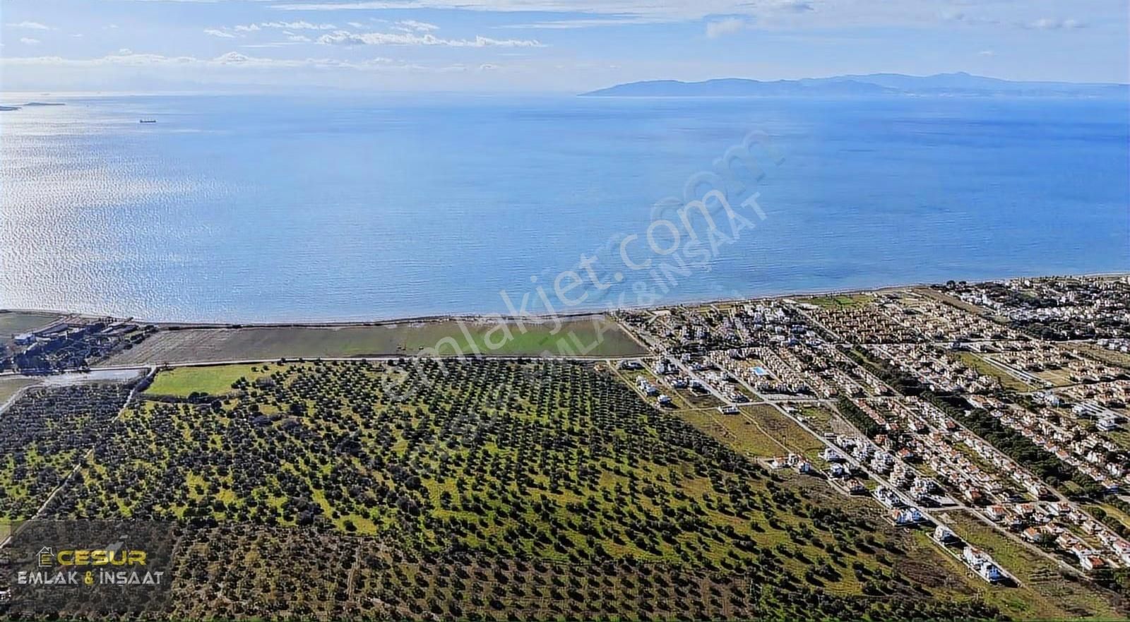 İzmir Dikili Salihler Altına Denize Sıfır 303 Dönüm Dev Tarla - Görsel 3