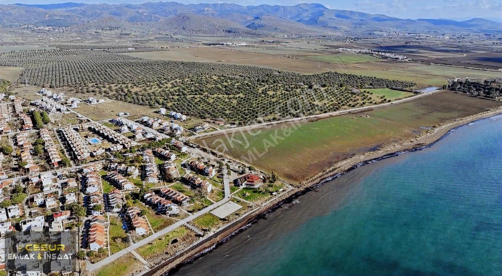 İzmir Dikili Salihler Altına Denize Sıfır 303 Dönüm Dev Tarla - Görsel 7