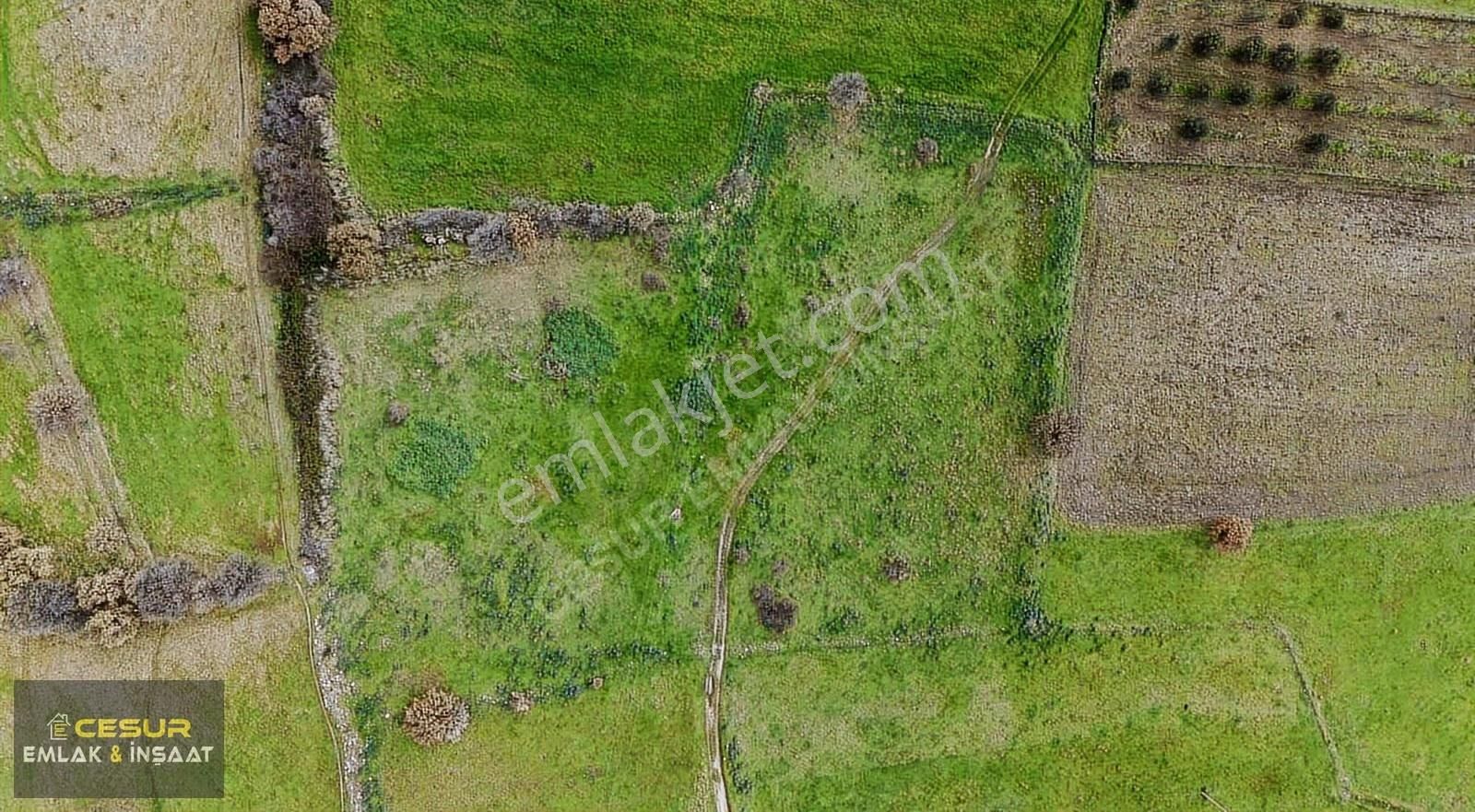 İzmir Dikili Kıratlıda Satılık Yatırımlık Tarla - Görsel 8