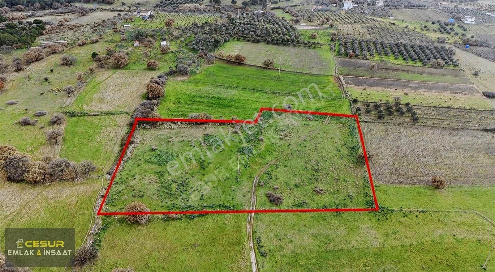 İzmir Dikili Kıratlıda Satılık Yatırımlık Tarla - Görsel 9