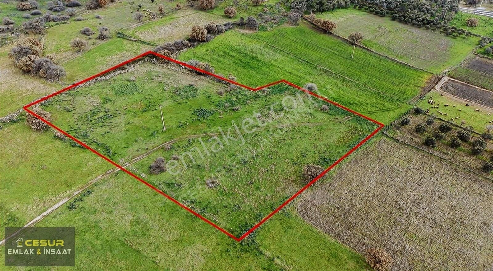 İzmir Dikili Kıratlıda Satılık Yatırımlık Tarla - Görsel 3