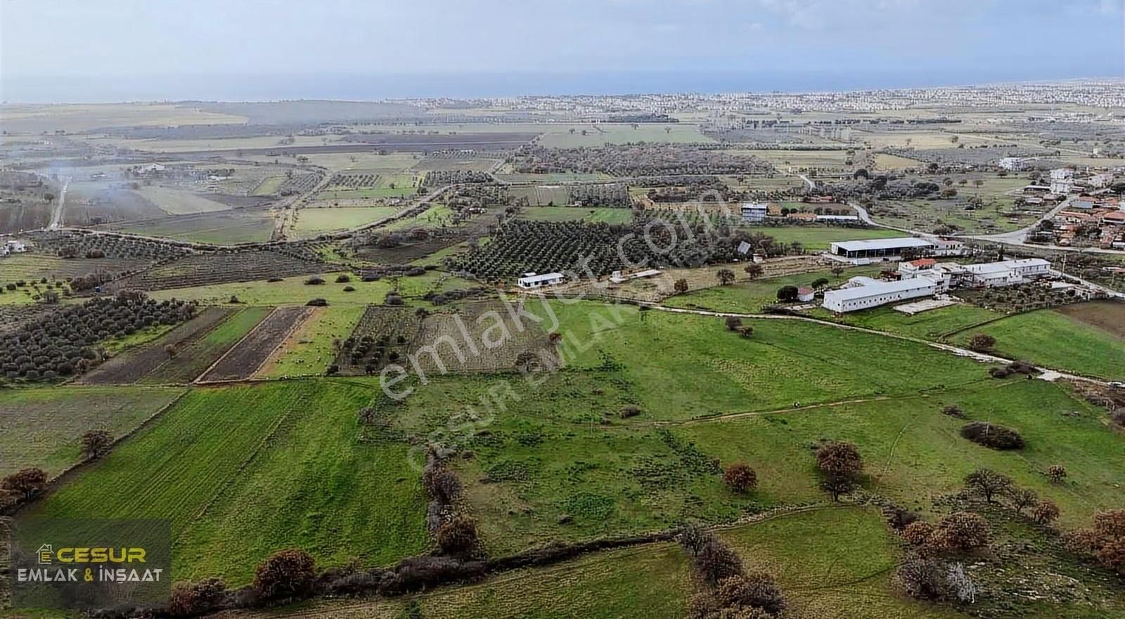 İzmir Dikili Kıratlıda Satılık Yatırımlık Tarla - Görsel 6
