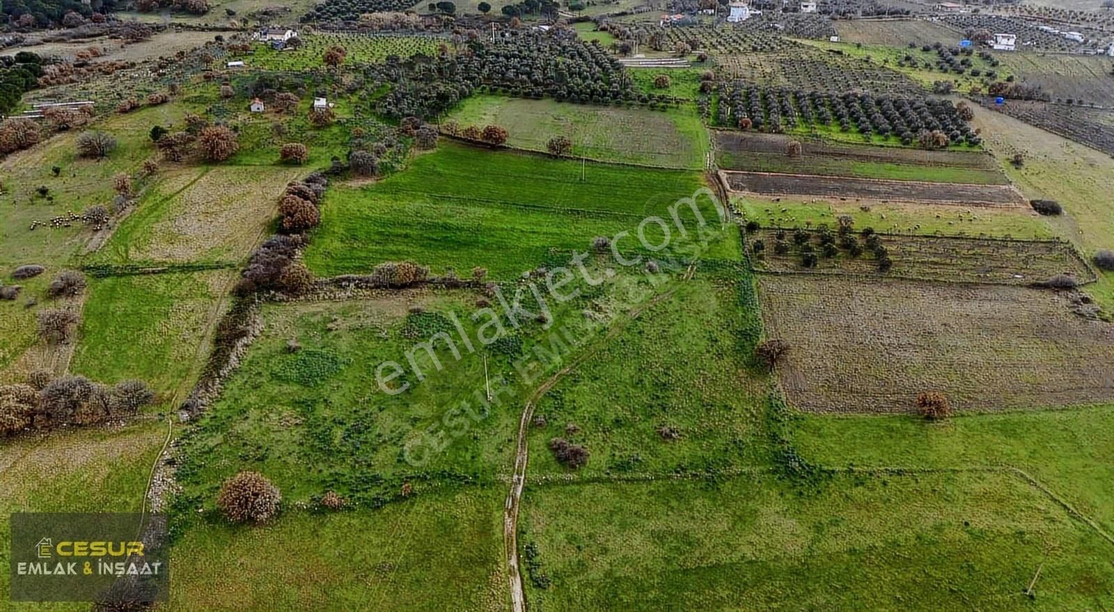 İzmir Dikili Kıratlıda Satılık Yatırımlık Tarla - Görsel 2