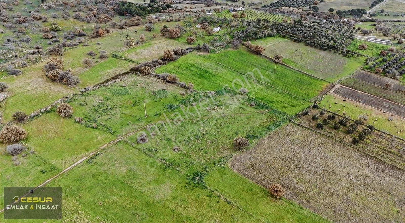 İzmir Dikili Kıratlıda Satılık Yatırımlık Tarla - Görsel 4