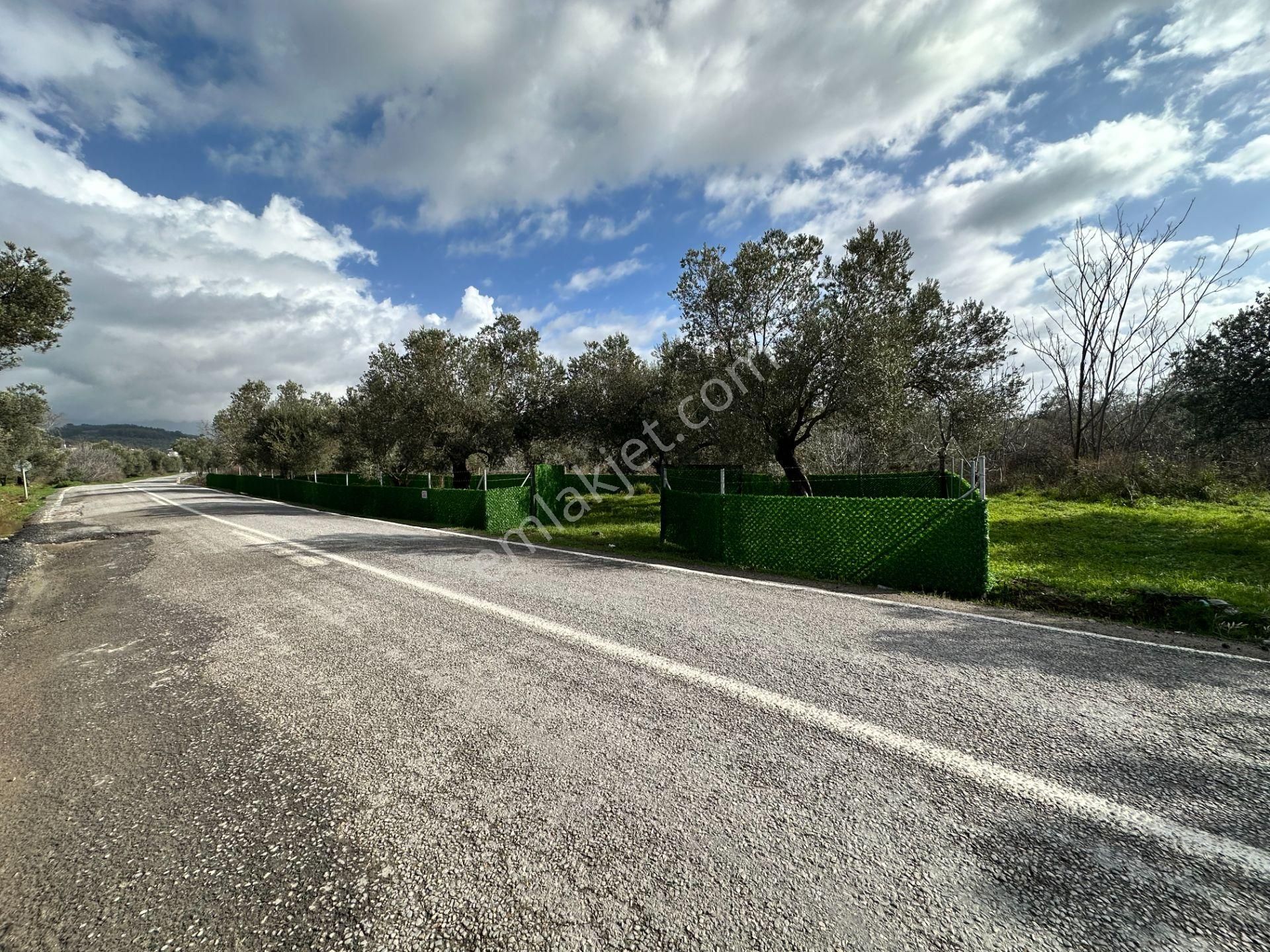 ▀▄mera Emlaktan Tuzcumurat Mh. Asfalta Cephe 427m2 Zeytinlik - Görsel 7