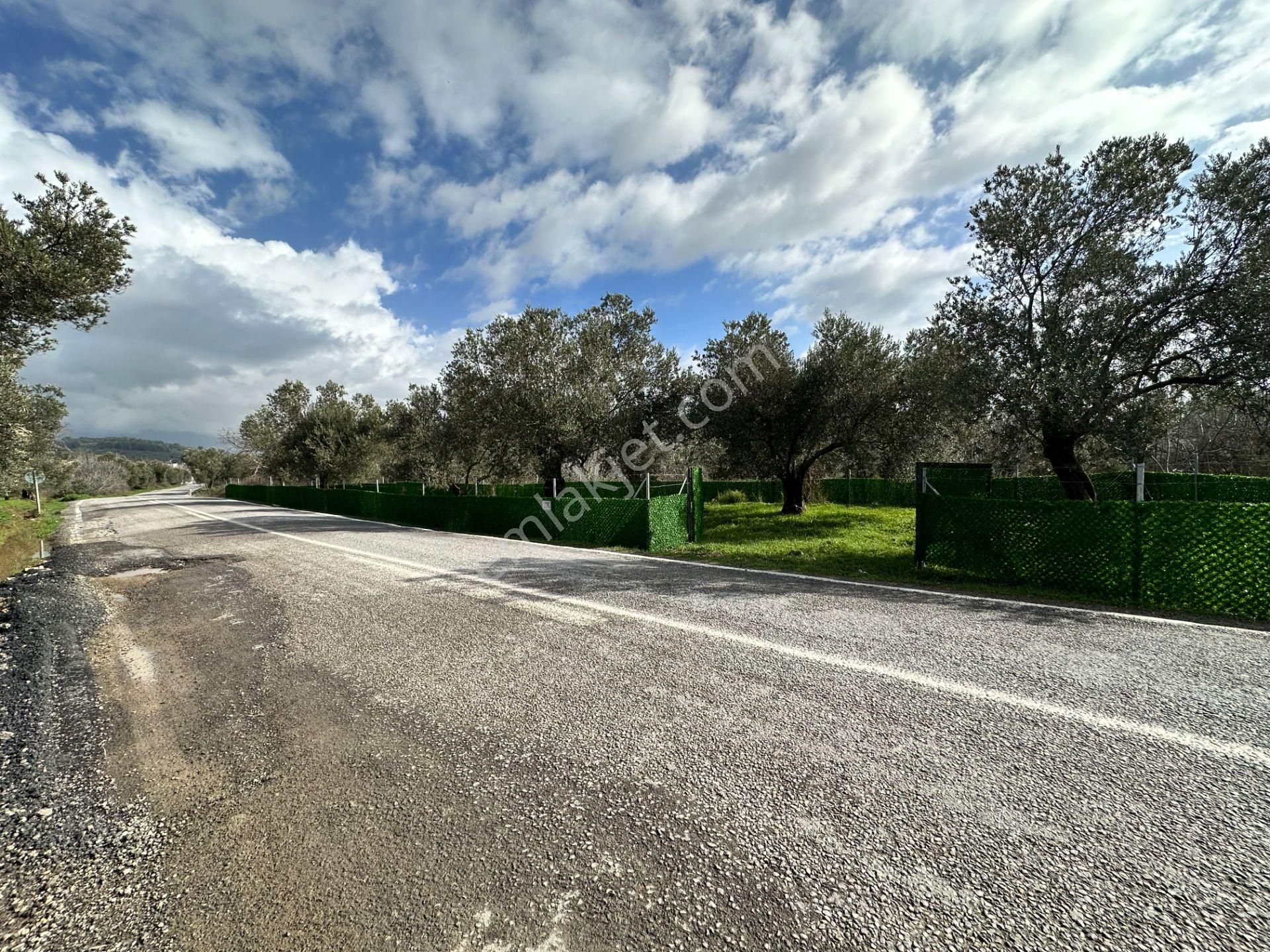 ▀▄mera Emlaktan Tuzcumurat Mh. Asfalta Cephe 427m2 Zeytinlik - Görsel 22