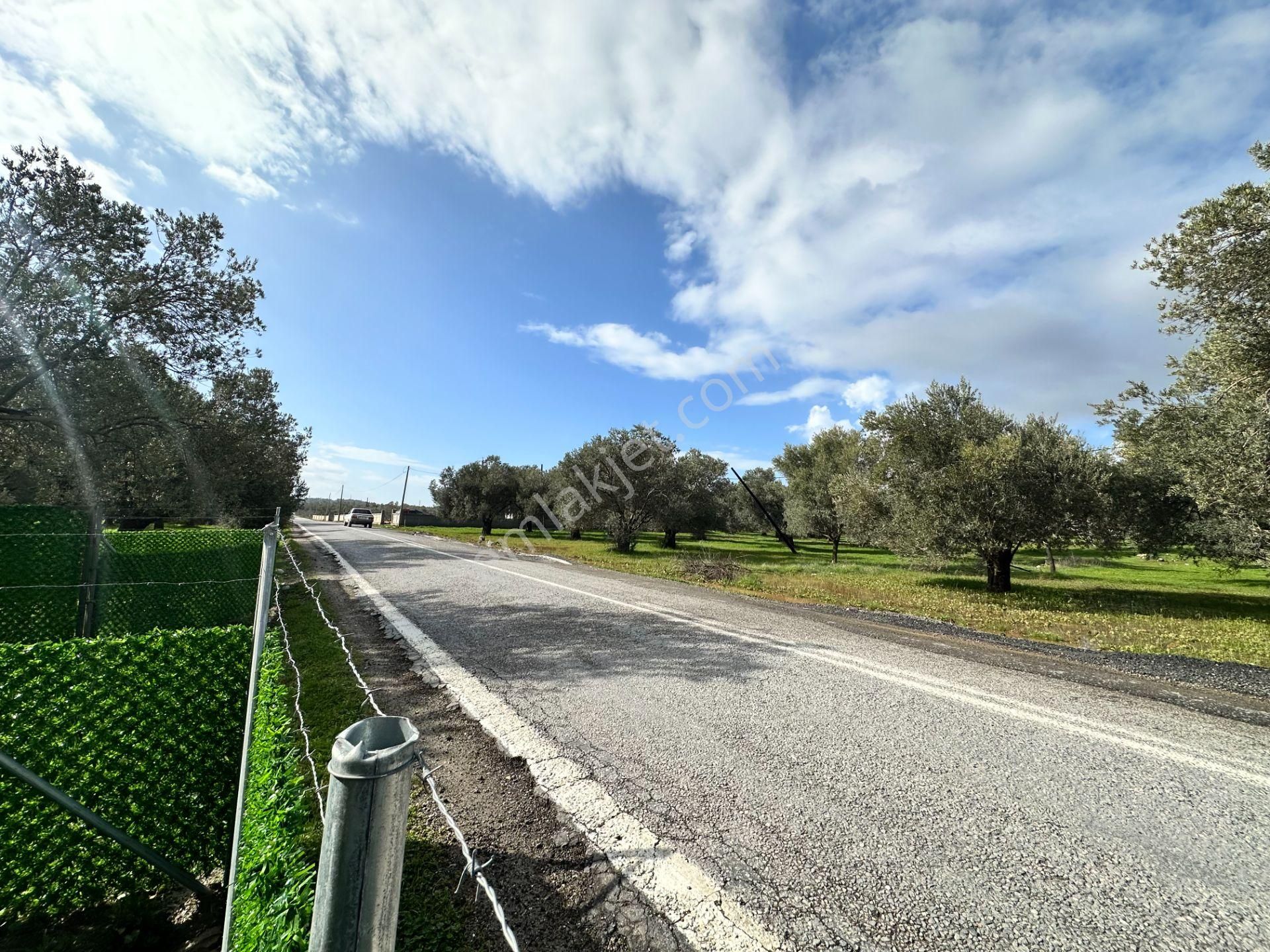 ▀▄mera Emlaktan Tuzcumurat Mh. Asfalta Cephe 427m2 Zeytinlik - Görsel 20