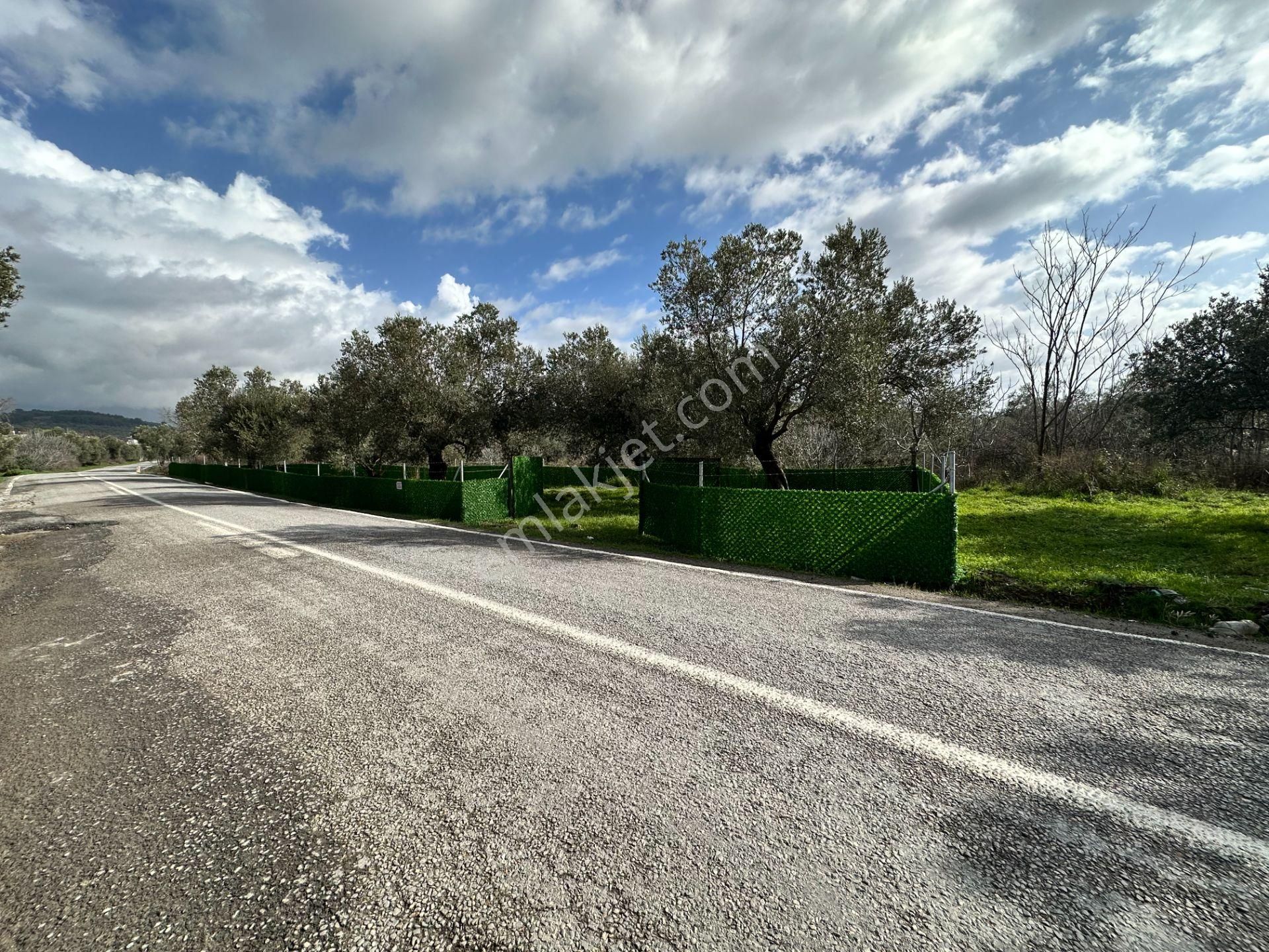 ▀▄mera Emlaktan Tuzcumurat Mh. Asfalta Cephe 427m2 Zeytinlik - Görsel 5