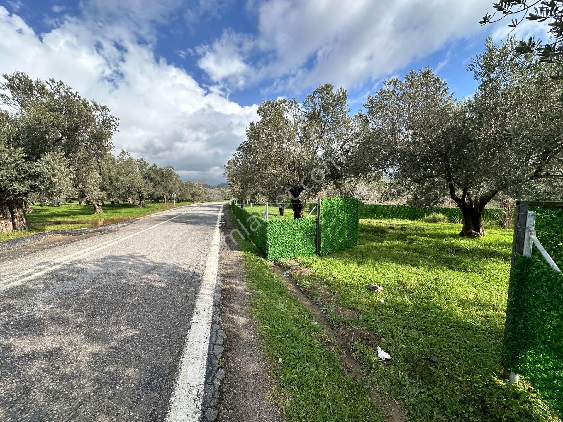 ▀▄mera Emlaktan Tuzcumurat Mh. Asfalta Cephe 427m2 Zeytinlik - Görsel 8