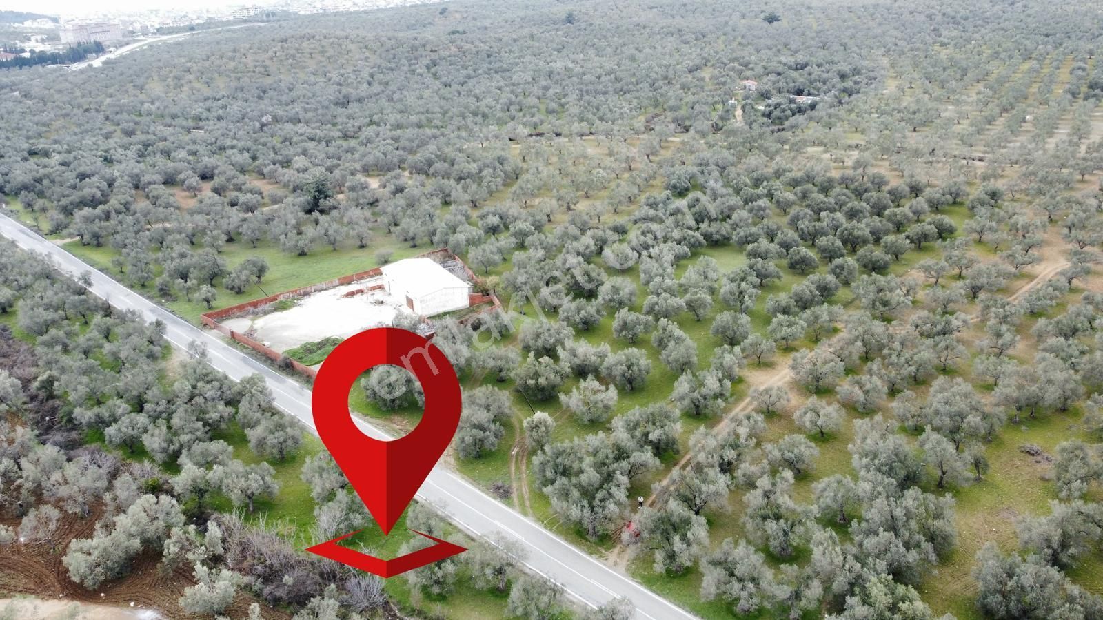 ▀▄mera Emlaktan Tuzcumurat Mh. Asfalta Cephe 427m2 Zeytinlik - Görsel 2