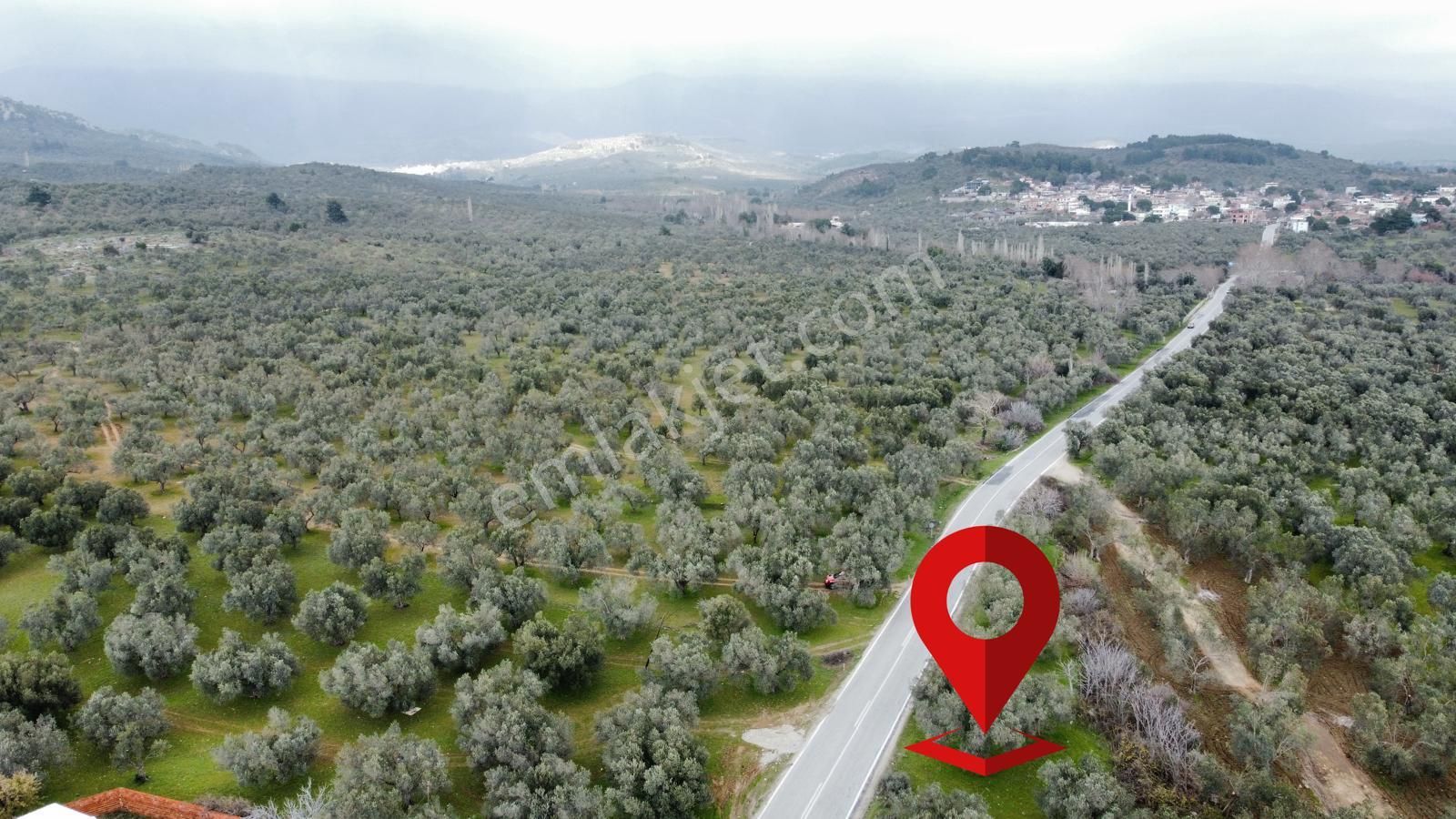 ▀▄mera Emlaktan Tuzcumurat Mh. Asfalta Cephe 427m2 Zeytinlik - Görsel 6