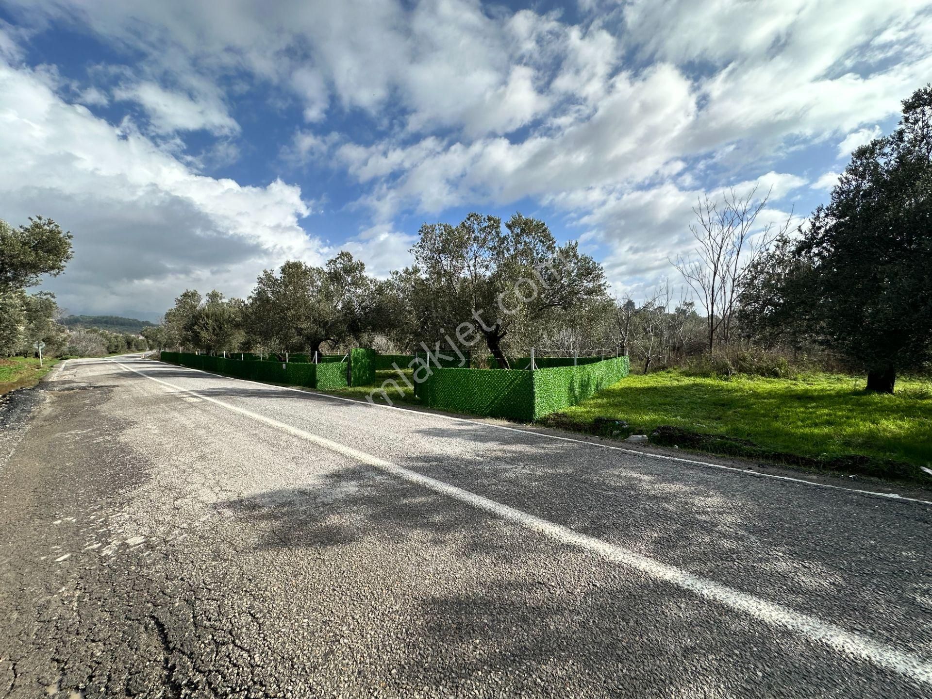 ▀▄mera Emlaktan Tuzcumurat Mh. Asfalta Cephe 427m2 Zeytinlik - Görsel 23