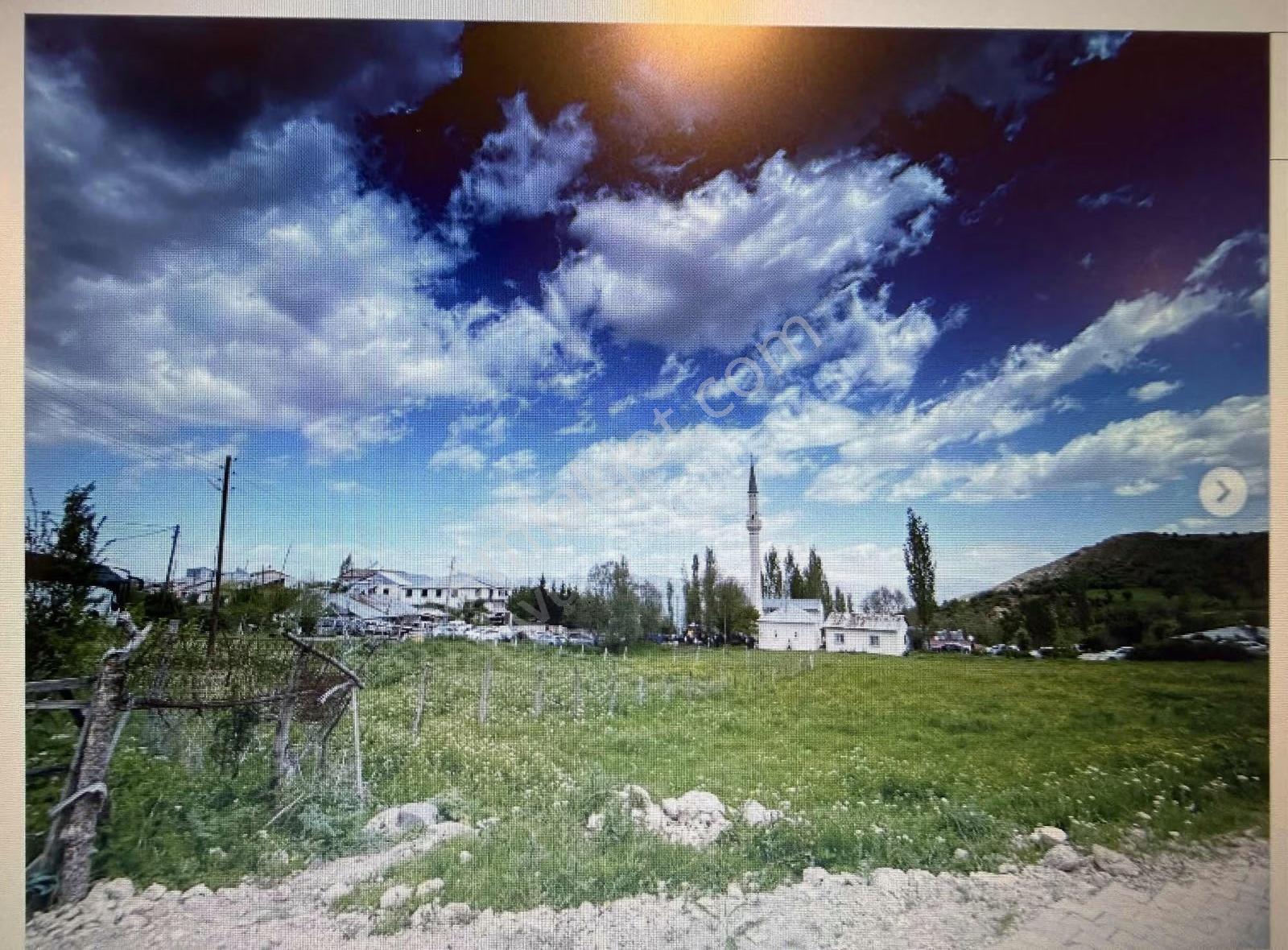 Şebinkarahisar Buzkeçi 'de 8.280 M2 Yola Cephesi 77 M Olan Tarla - Görsel 7