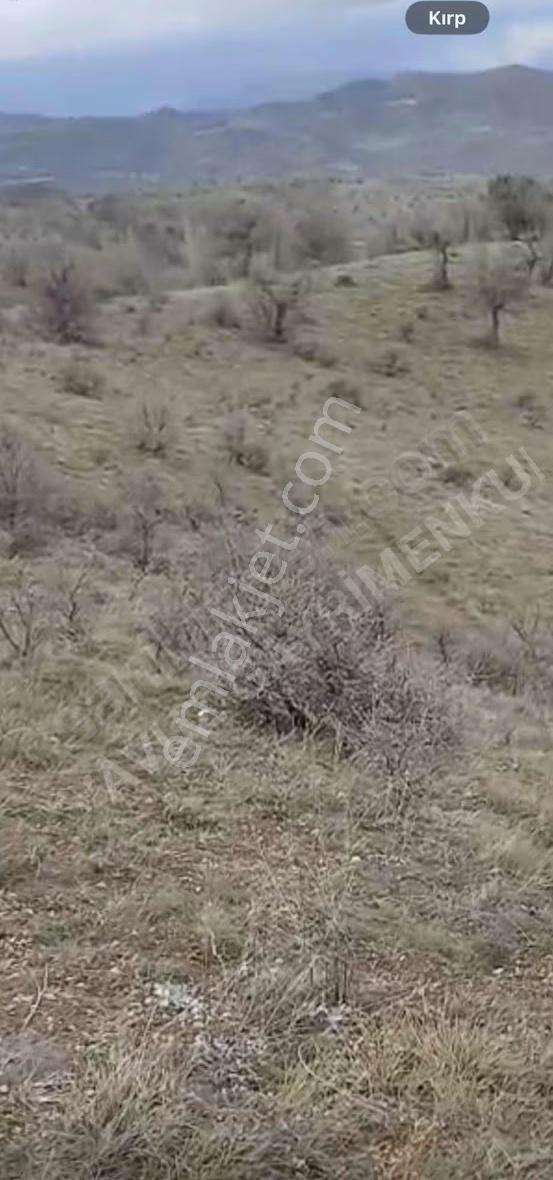 Şebinkarahisar Buzkeçi 'de 8.280 M2 Yola Cephesi 77 M Olan Tarla - Görsel 10