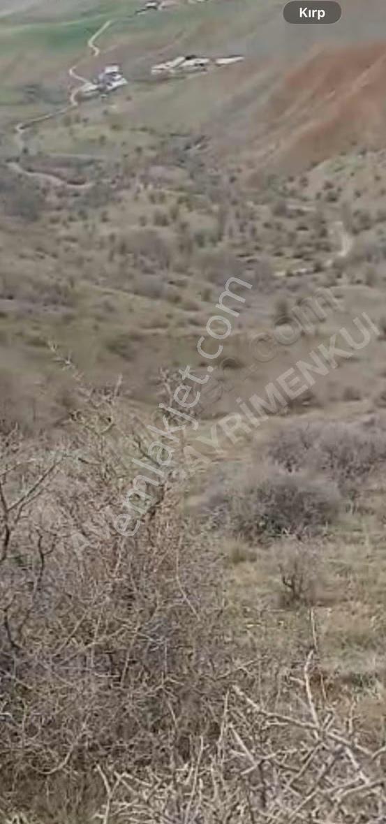 Şebinkarahisar Buzkeçi 'de 8.280 M2 Yola Cephesi 77 M Olan Tarla - Görsel 2