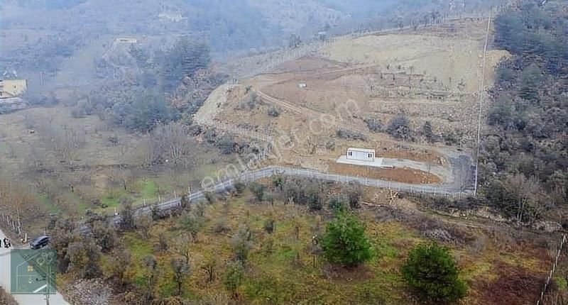 Sakarya Geyve Köprübaşı Acil Satılık Bağ Yollu Elektrik Su Bağlı - Görsel 2