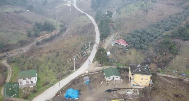 Sakarya Geyve Köprübaşı Acil Satılık Bağ Yollu Elektrik Su Bağlı - Görsel 13