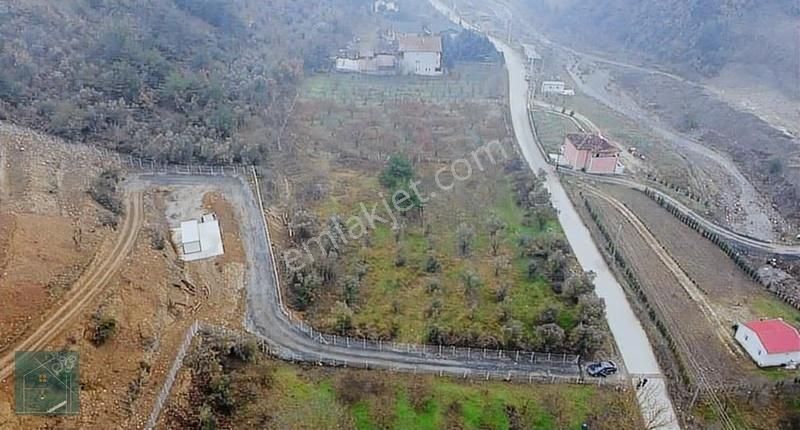 Sakarya Geyve Köprübaşı Acil Satılık Bağ Yollu Elektrik Su Bağlı - Görsel 10