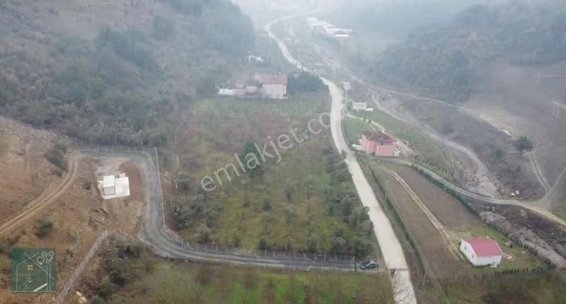 Sakarya Geyve Köprübaşı Acil Satılık Bağ Yollu Elektrik Su Bağlı - Görsel 11