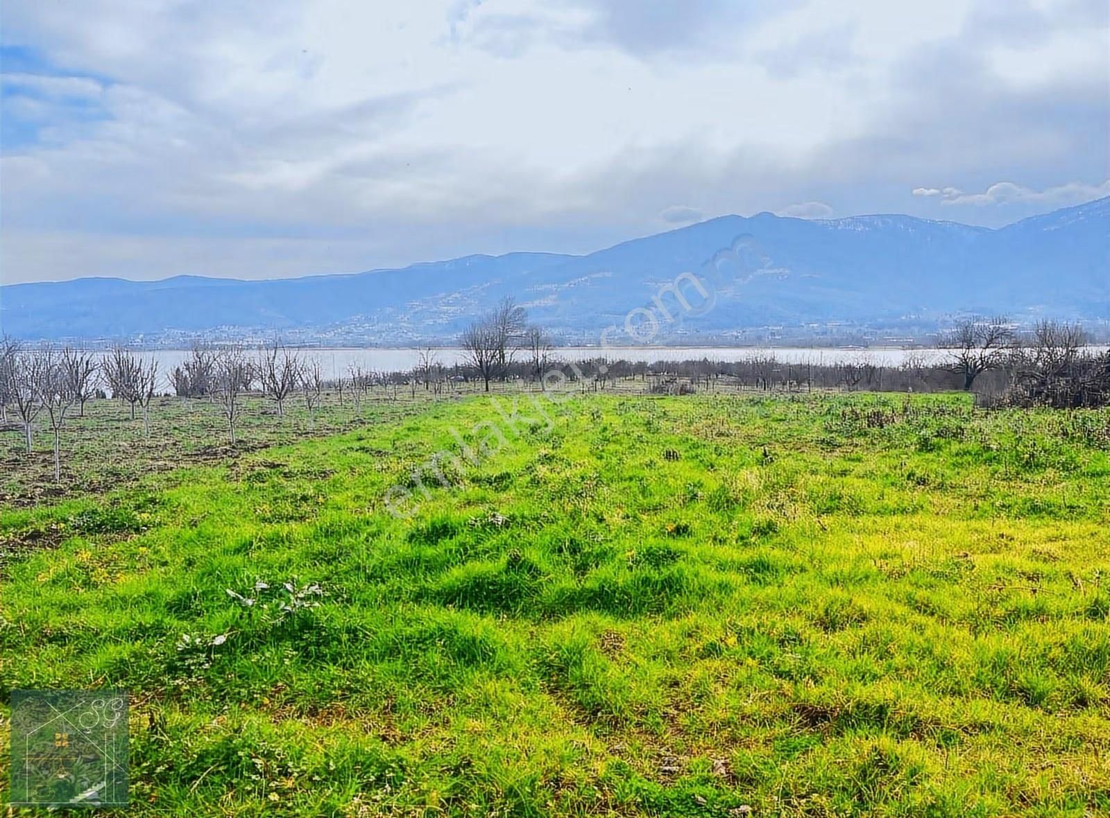 Kartepede Sapanca Göl Manzaralı Acil Satılık Arsa