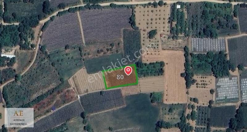 Aydınlık Emlak'tan Kurşunlu'da Yerleşime Yakın 1.712 M² Tarla - Görsel 5