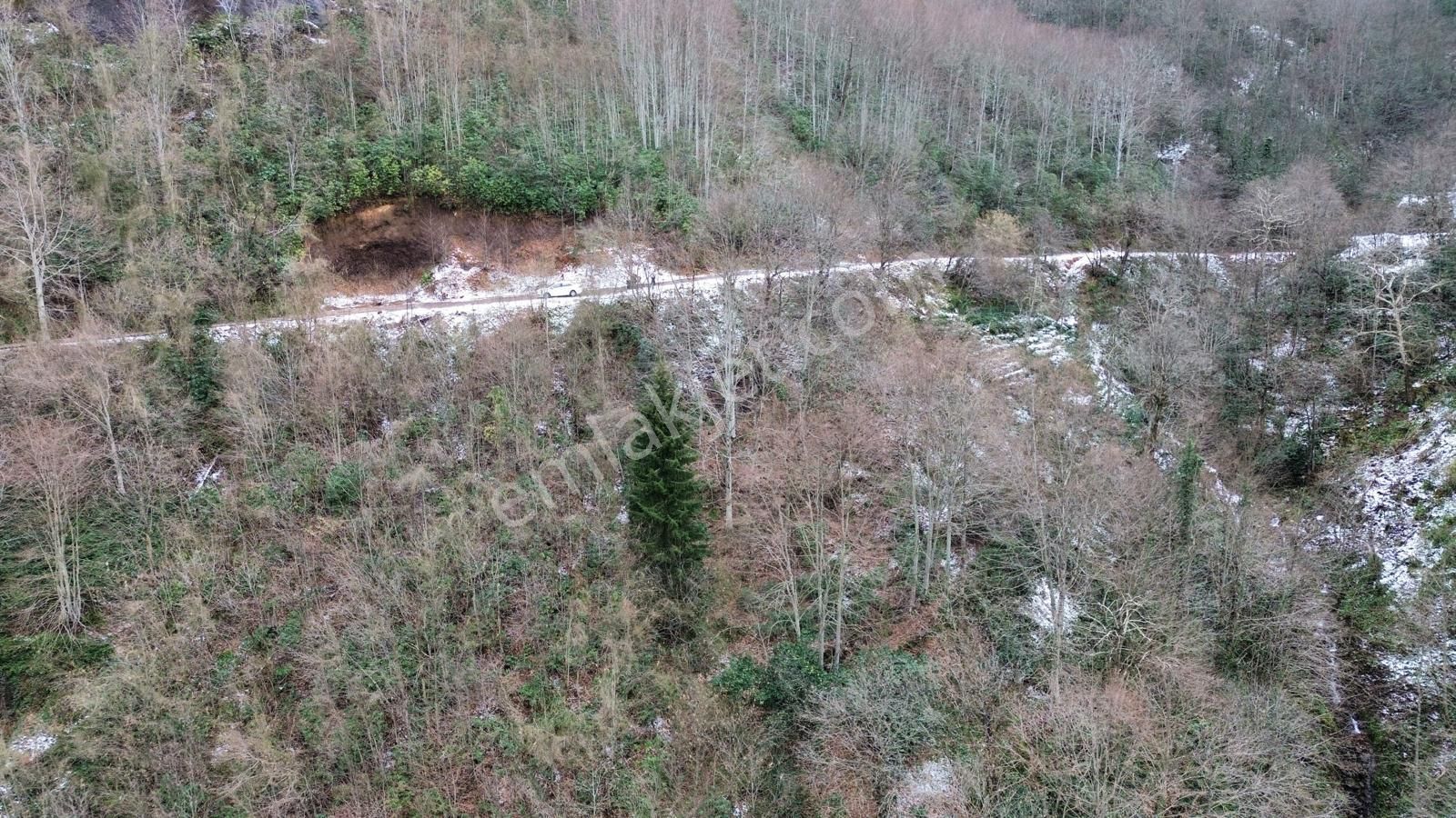 Trabzon Sürmenede Satılık Arazi - Görsel 11