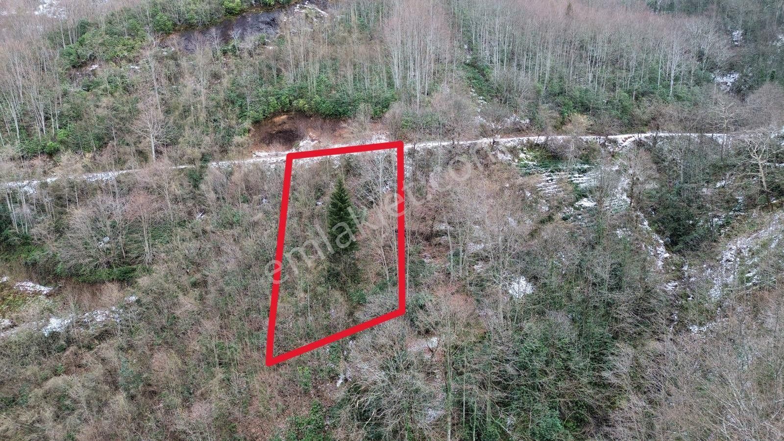 Trabzon Sürmenede Satılık Arazi - Görsel 2