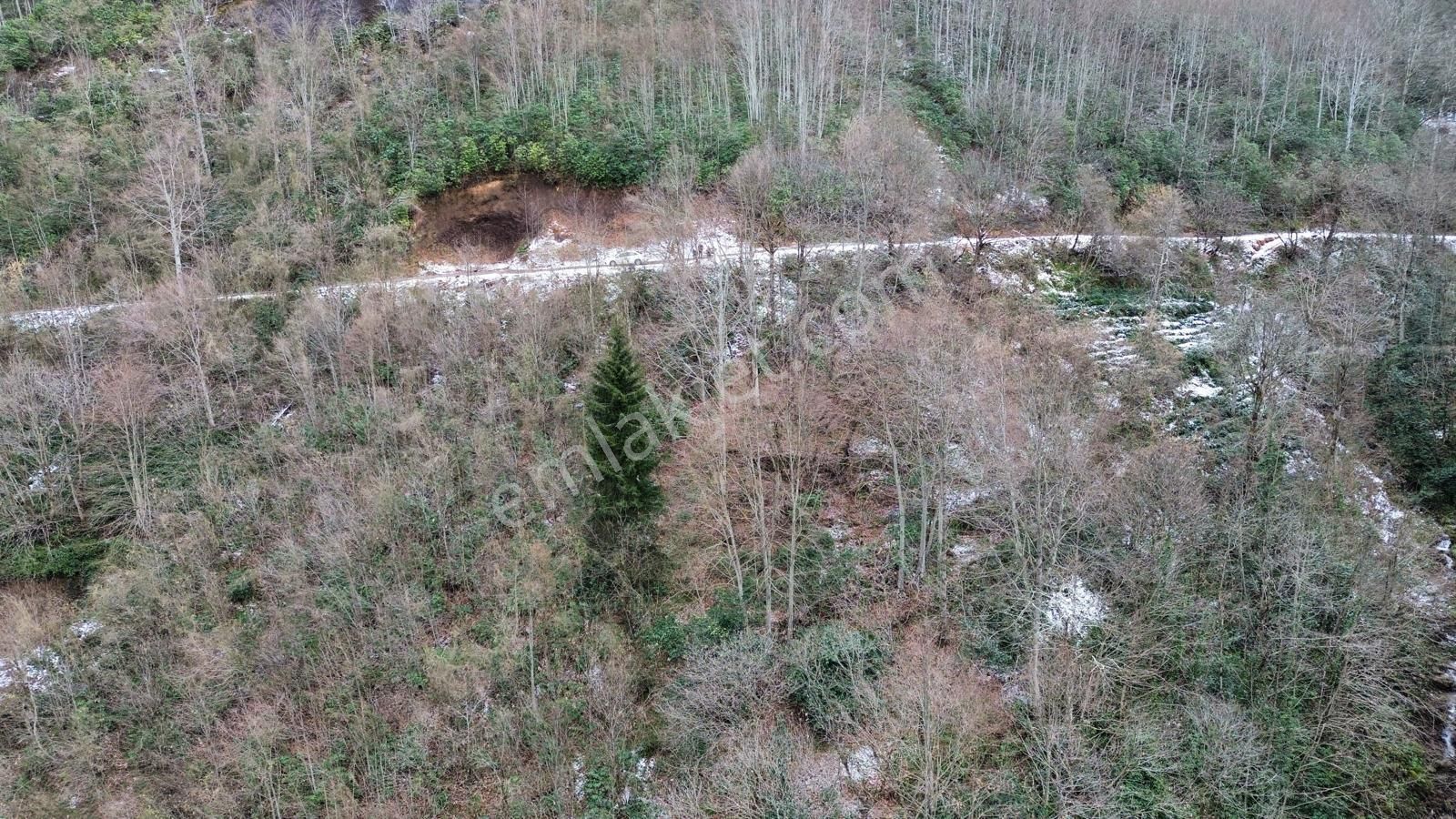 Trabzon Sürmenede Satılık Arazi - Görsel 7