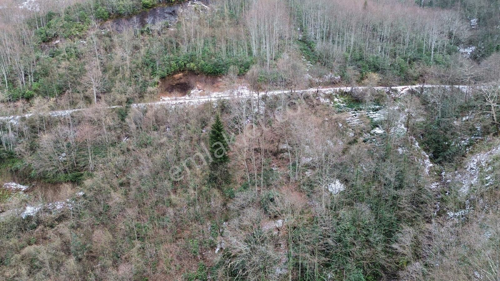 Trabzon Sürmenede Satılık Arazi - Görsel 3